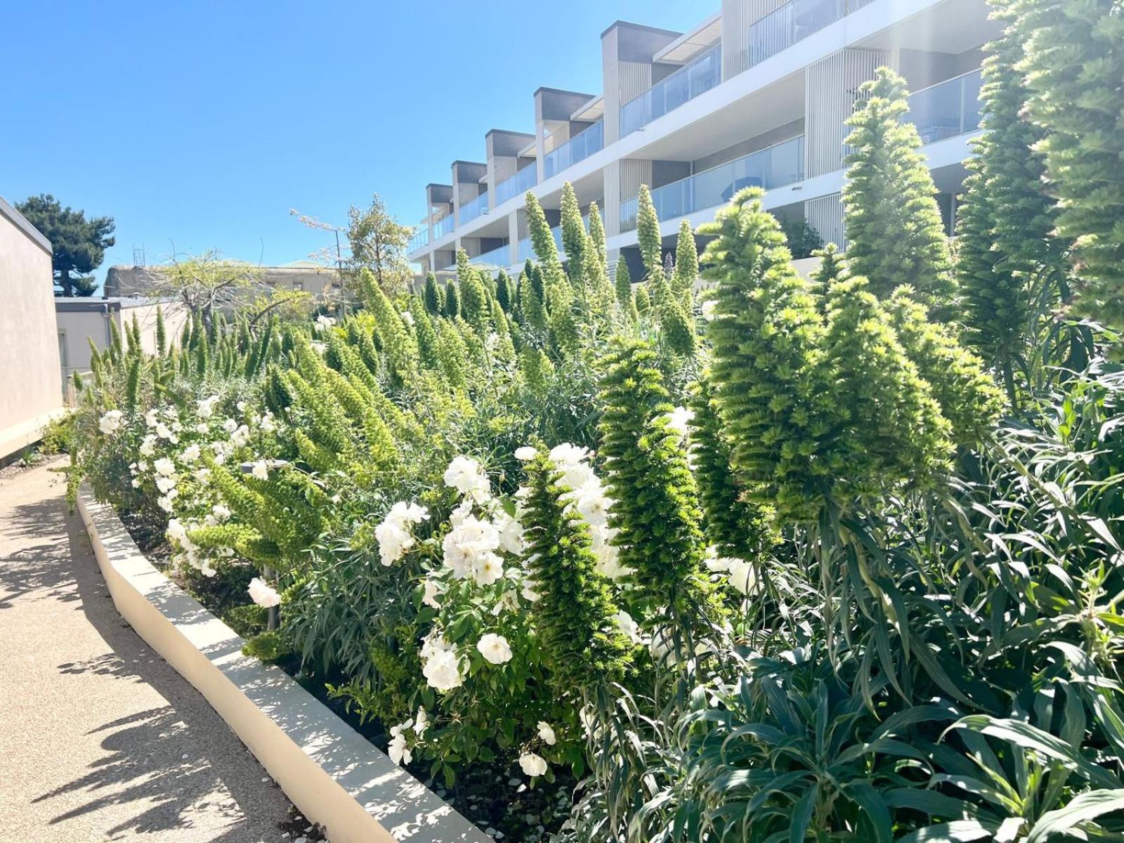Panoramic Sea View Appartment Blue Pearl 니스 외부 사진
